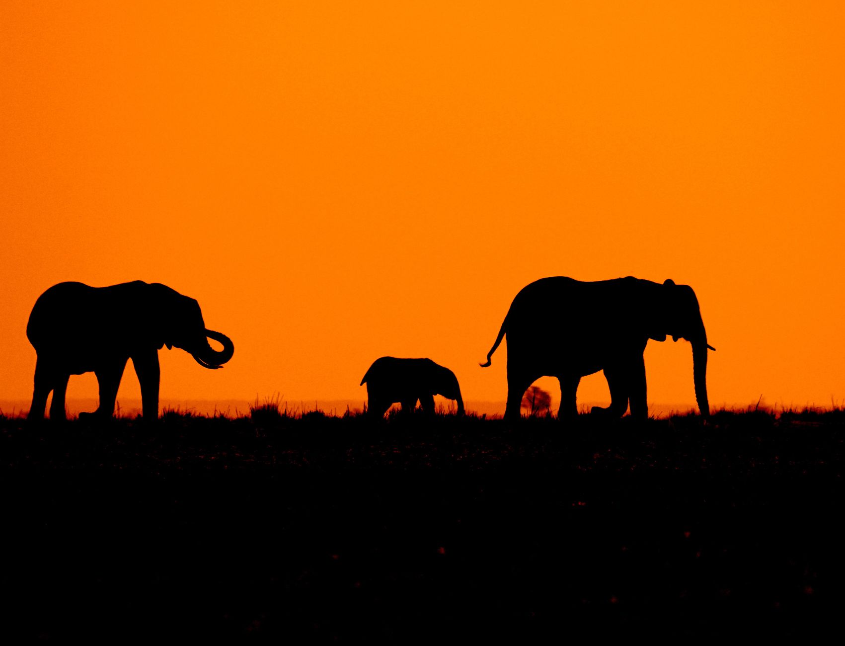 10-Day Gorilla Trekking, Safari & Cultural Tour in Rwanda