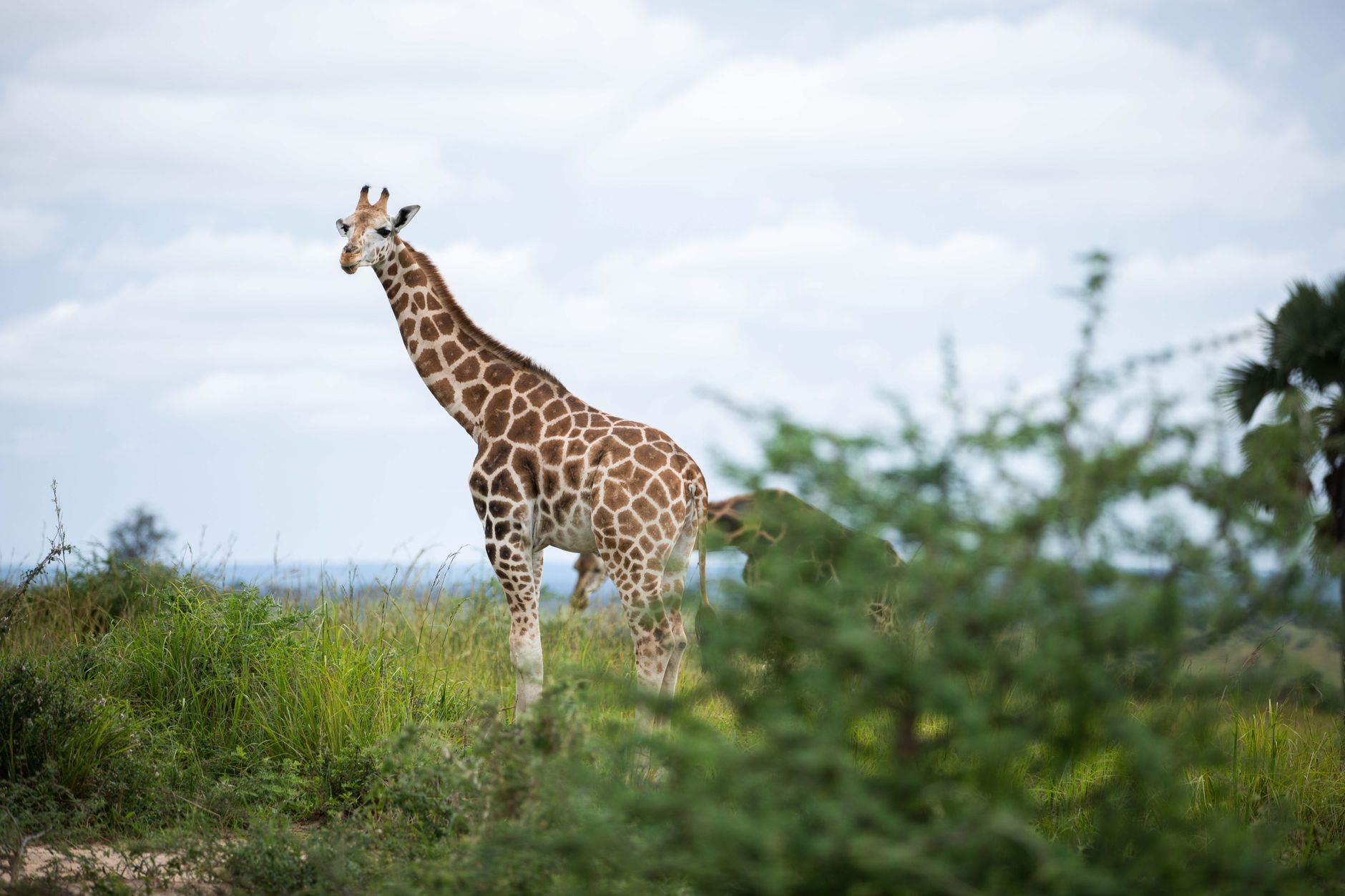 Luxury 7-Day Beach, Cultural Tour & City Tour in Kenya