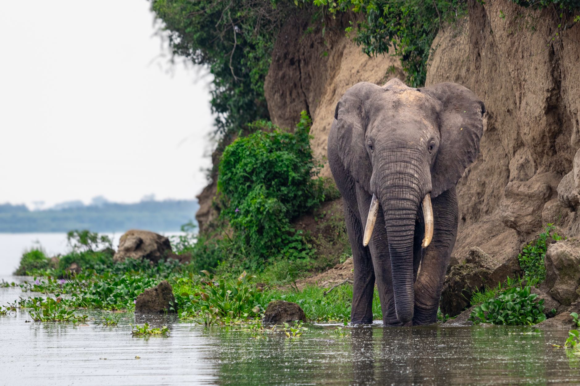 10 Days Safari in Rwanda
