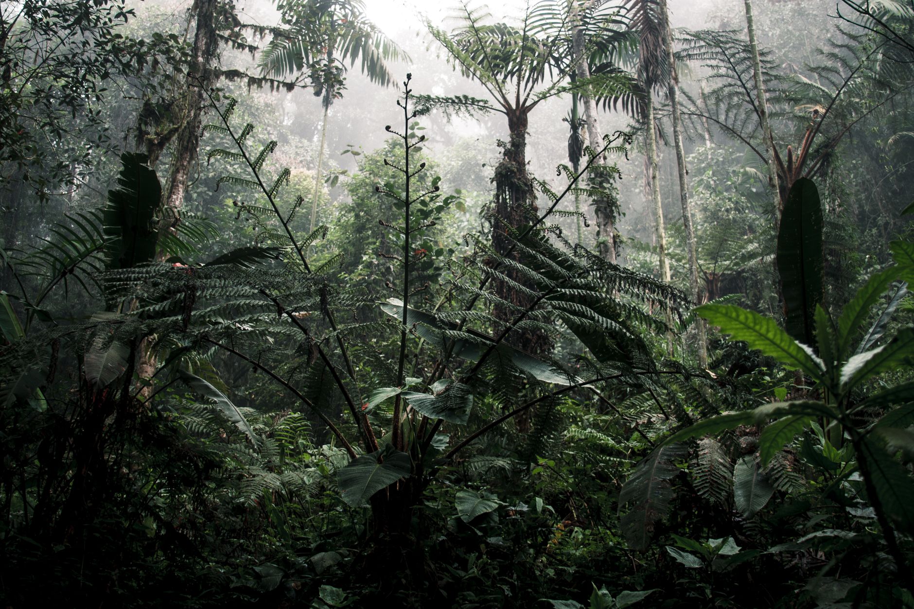 5 Days Safari in Rwanda