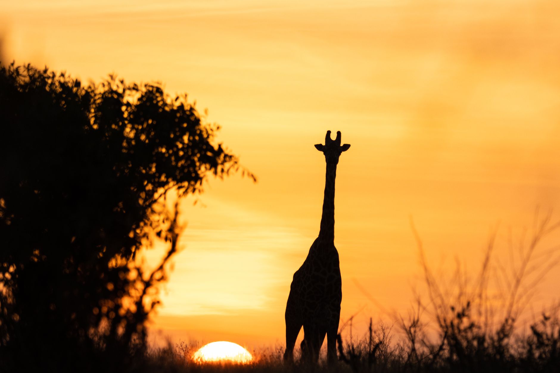 10 Days Safari in Rwanda