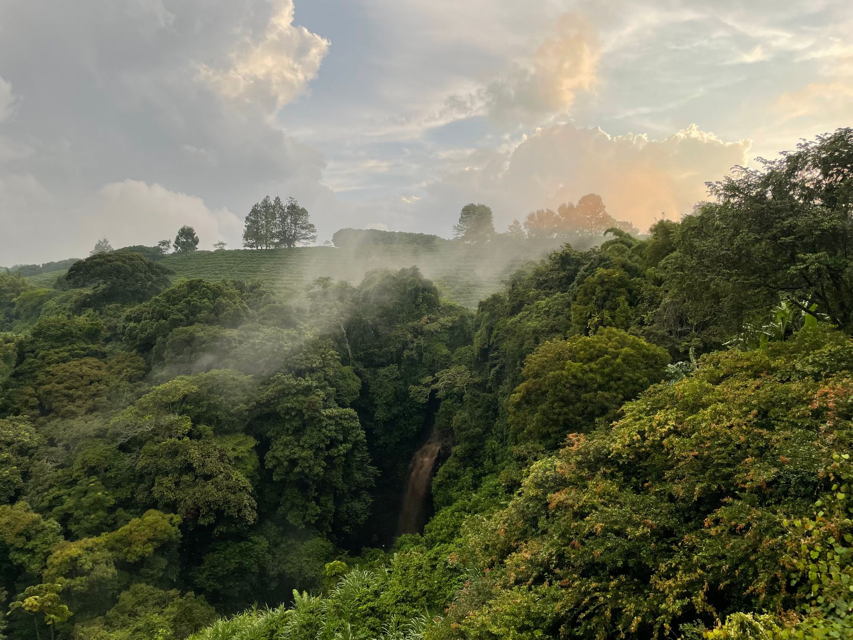 10 Days Safari in Rwanda