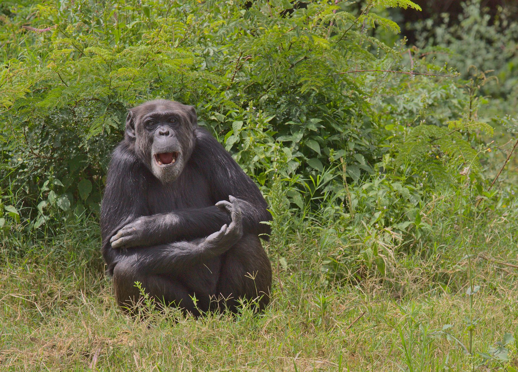 10 Days Safari in Rwanda