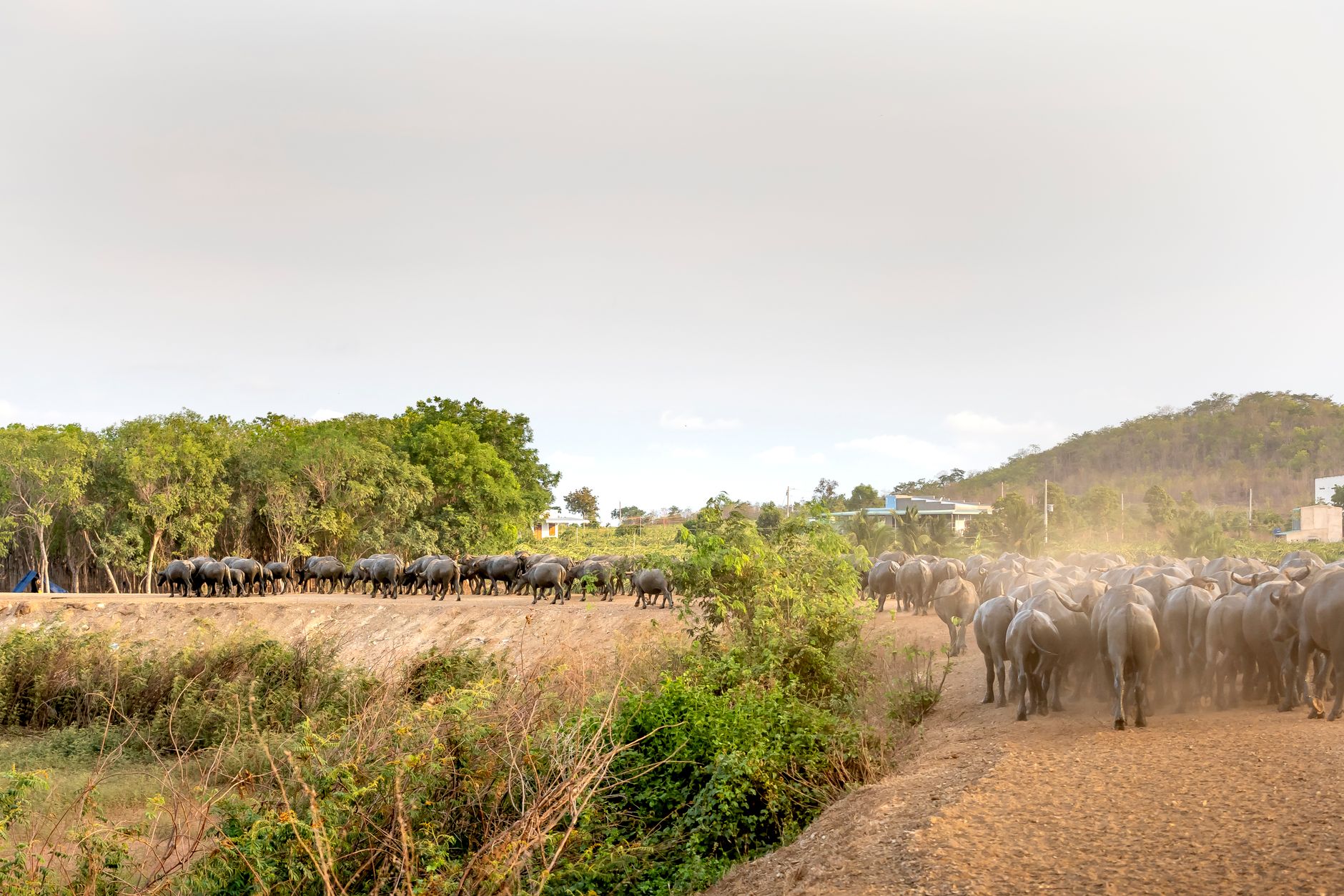 10 Days Safari in Rwanda